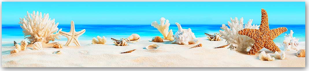 Скинали — Море 0683 Скинали для кухни 0683—Море