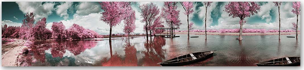 Скинали — Природа 1166 Скинали для кухни 1166—Природа