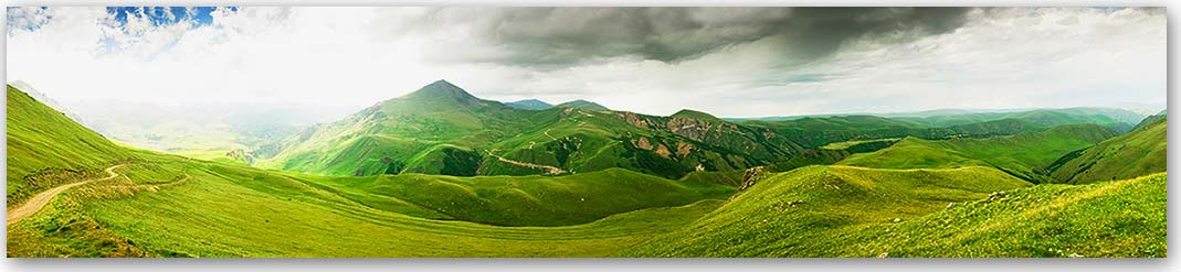 Скинали — Природа 1863 Скинали для кухни 1863—Природа