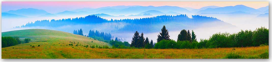 Скинали — Природа 2175 Скинали для кухни 2175—Природа