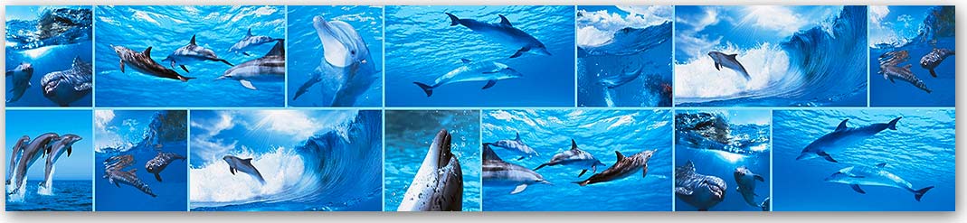 Скинали — Животный мир 3192 Скинали для кухни 3192—Животный мир