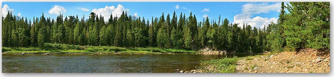 Скинали — Природа 3912 Скинали для кухни 3912—Природа