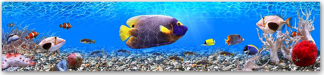 Скинали — Животный мир 4751 Скинали для кухни 4751—Животный мир