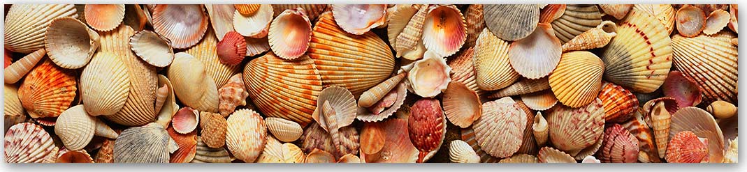 Скинали — Море 5090 Скинали для кухни 5090—Море