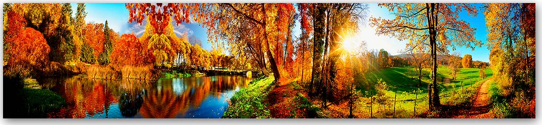 Скинали — Природа 5963 Скинали для кухни 5963—Природа