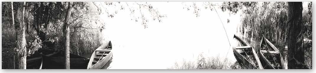 Скинали Природа 0071 в черно-белом оттенке Кухонный фартук Природа 0071 Чёрно-белый — скинали