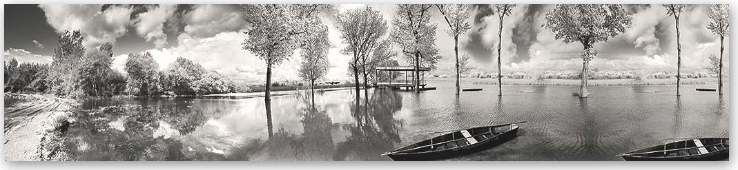 Скинали Природа 1166 в черно-белом оттенке Кухонный фартук Природа 1166 Чёрно-белый — скинали