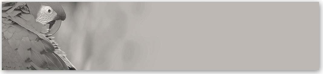 Скинали Животный мир 2264 в черно-белом оттенке Кухонный фартук Животный мир 2264 Чёрно-белый — скинали