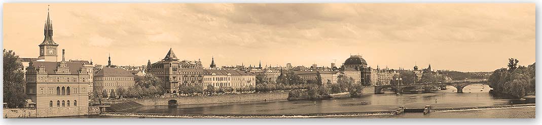 Скинали сепия — Города 2058 Скинали Города 2058 сепия