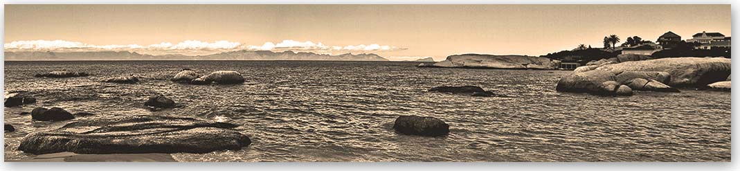 Скинали сепия — Море 2877 Скинали Море 2877 сепия