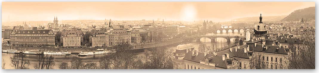 Скинали сепия — Города 5714 Скинали Города 5714 сепия
